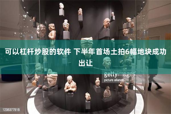 可以杠杆炒股的软件 下半年首场土拍6幅地块成功出让