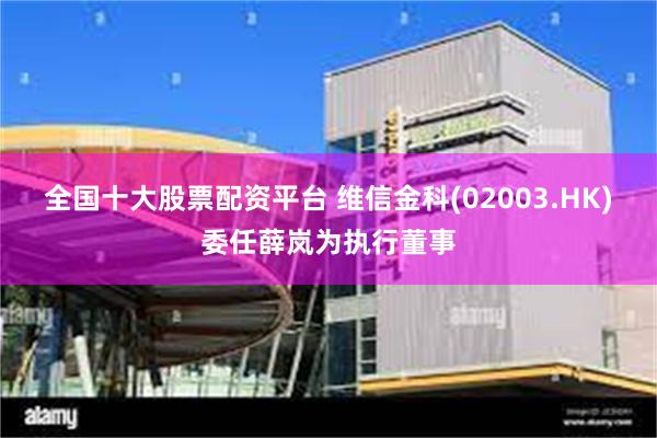 全国十大股票配资平台 维信金科(02003.HK)委任薛岚为执行董事