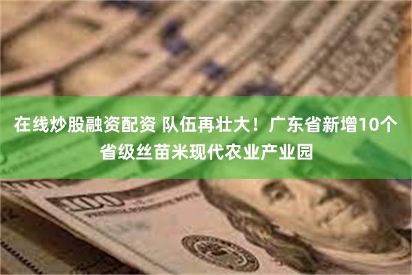 在线炒股融资配资 队伍再壮大！广东省新增10个省级丝苗米现代农业产业园