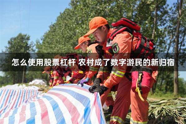 怎么使用股票杠杆 农村成了数字游民的新归宿