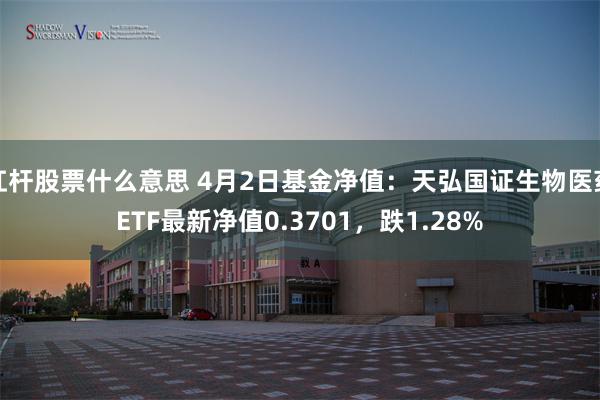 杠杆股票什么意思 4月2日基金净值：天弘国证生物医药ETF最新净值0.3701，跌1.28%