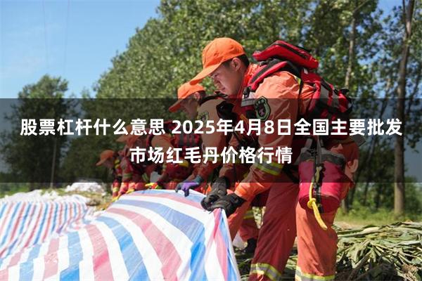 股票杠杆什么意思 2025年4月8日全国主要批发市场红毛丹价格行情