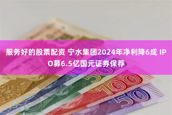 服务好的股票配资 宁水集团2024年净利降6成 IPO募6.5亿国元证券保荐