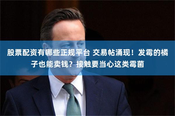 股票配资有哪些正规平台 交易帖涌现！发霉的橘子也能卖钱？接触要当心这类霉菌