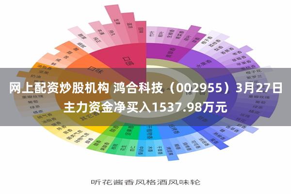 网上配资炒股机构 鸿合科技（002955）3月27日主力资金净买入1537.98万元