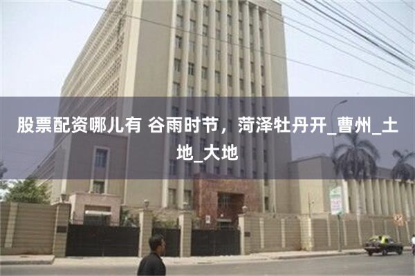 股票配资哪儿有 谷雨时节，菏泽牡丹开_曹州_土地_大地