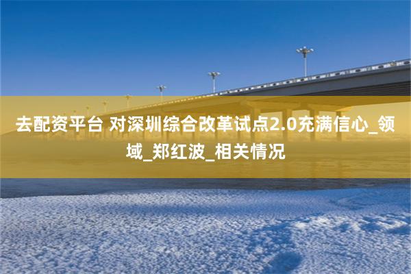 去配资平台 对深圳综合改革试点2.0充满信心_领域_郑红波_相关情况