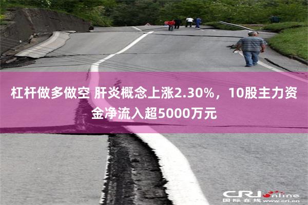 杠杆做多做空 肝炎概念上涨2.30%，10股主力资金净流入超5000万元