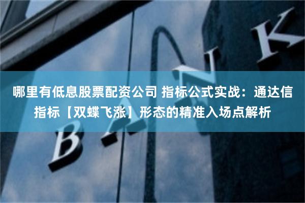 哪里有低息股票配资公司 指标公式实战：通达信指标【双蝶飞涨】形态的精准入场点解析