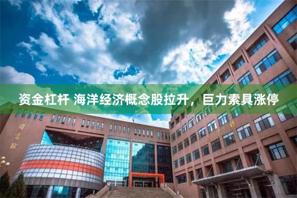 资金杠杆 海洋经济概念股拉升，巨力索具涨停