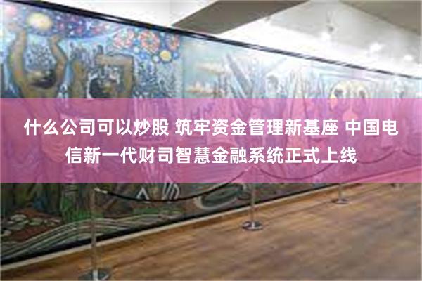 什么公司可以炒股 筑牢资金管理新基座 中国电信新一代财司智慧金融系统正式上线